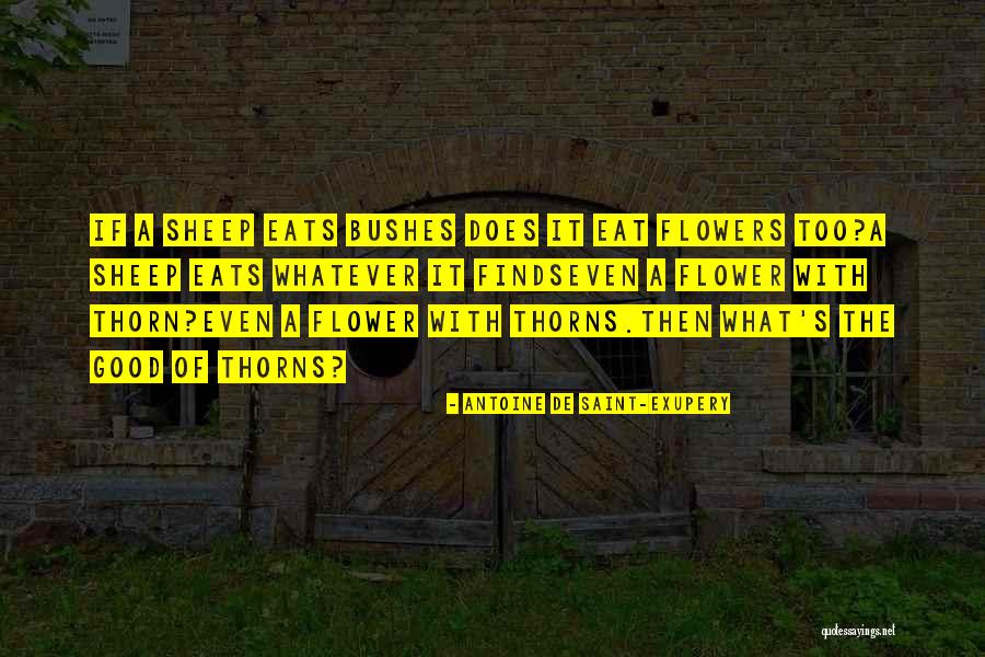 Flower And Thorn Quotes By Antoine De Saint-Exupery Flower And Thorn Quotes By Antoine De Saint-Exupery