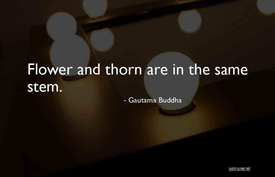 Flower And Thorn Quotes By Gautama Buddha Flower And Thorn Quotes By Gautama Buddha