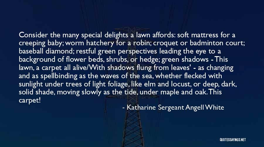 Flower Background Quotes By Katharine Sergeant Angell White Flower Background Quotes By Katharine Sergeant Angell White