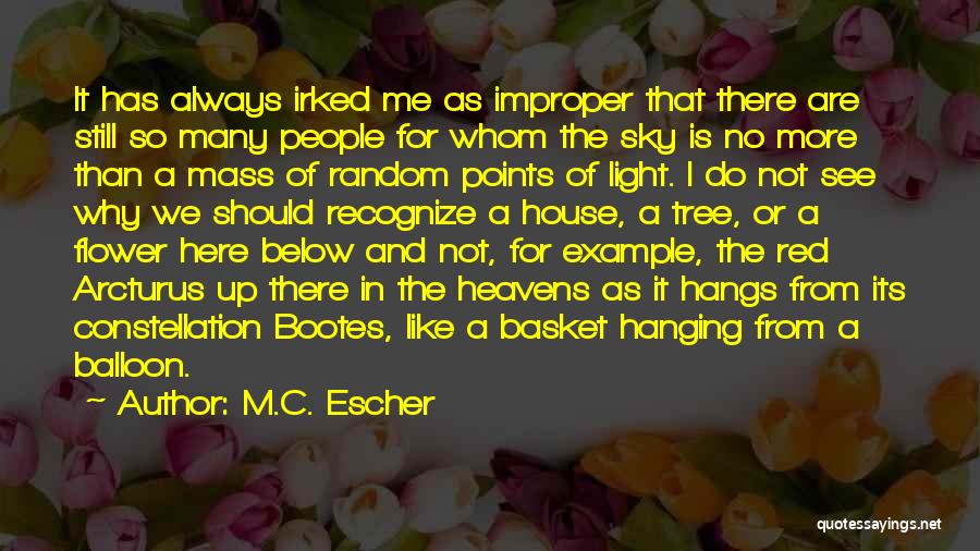Flower Basket Quotes By M.C. Escher