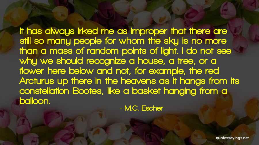 Flower Basket Quotes By M.C. Escher