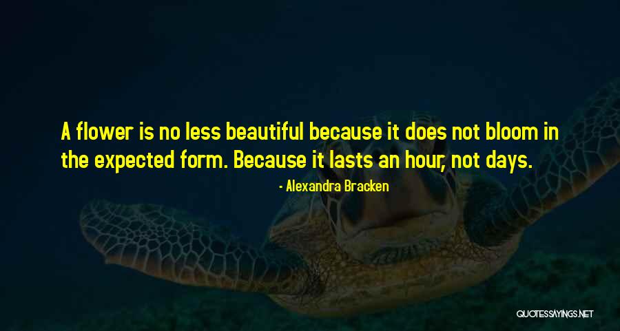 Flower Beautiful Quotes By Alexandra Bracken Flower Beautiful Quotes By Alexandra Bracken