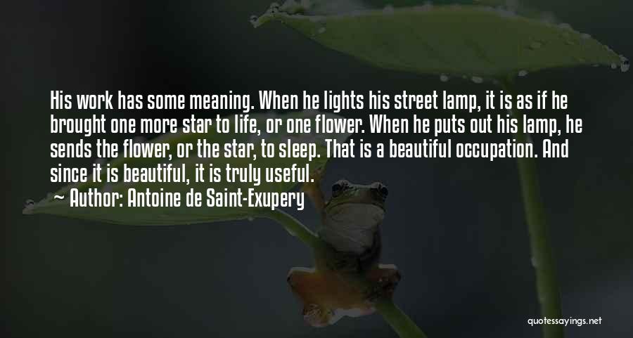 Flower Beautiful Quotes By Antoine De Saint-Exupery