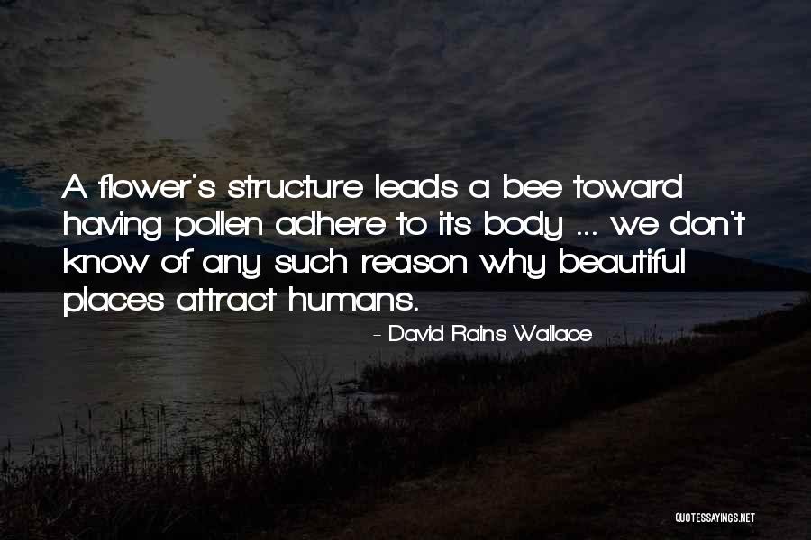 Flower Beautiful Quotes By David Rains Wallace