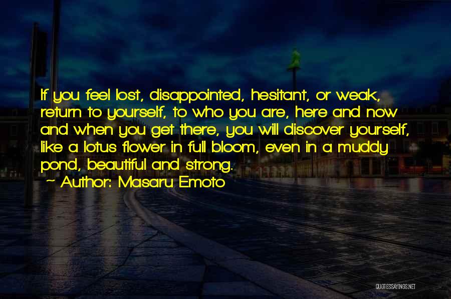 Flower Beautiful Quotes By Masaru Emoto