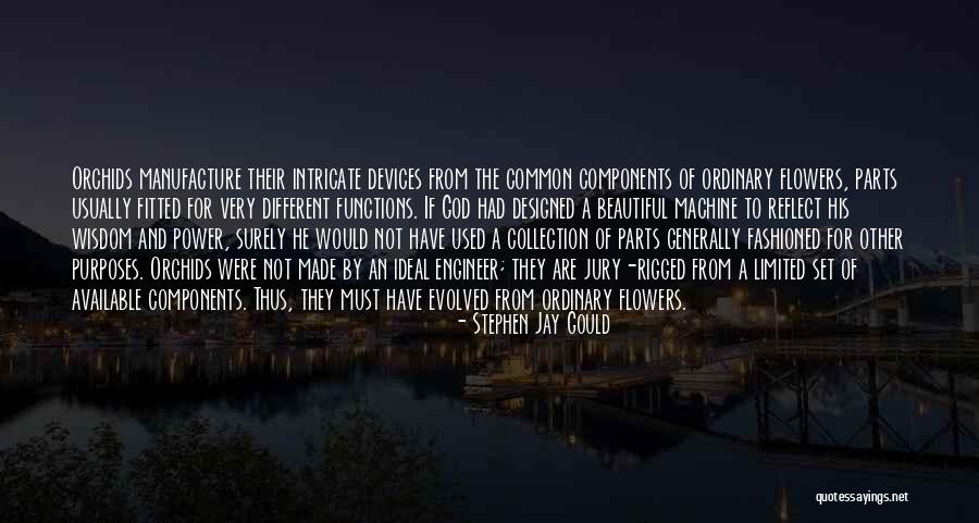 Flower Beautiful Quotes By Stephen Jay Gould Flower Beautiful Quotes By Stephen Jay Gould