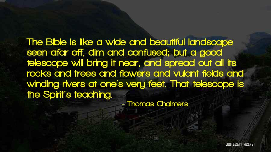 Flower Beautiful Quotes By Thomas Chalmers