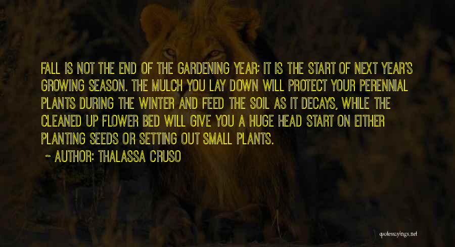 Flower Bed Quotes By Thalassa Cruso