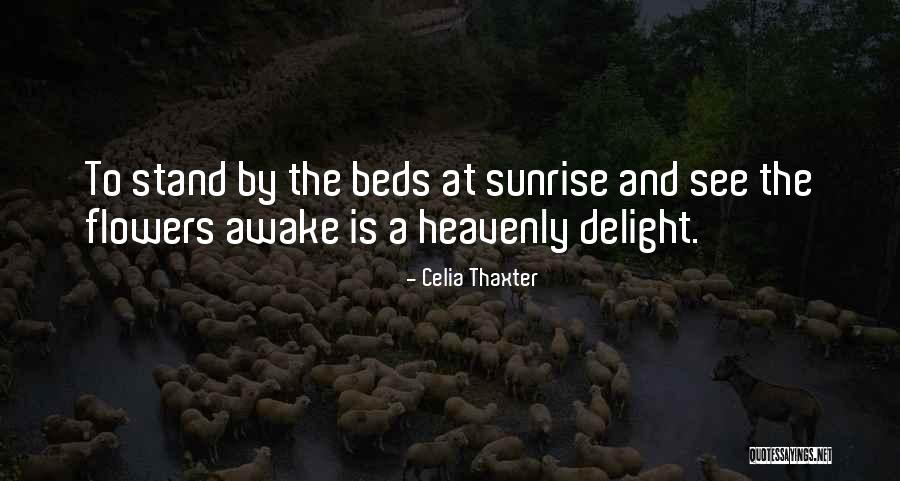 Flower Beds Quotes By Celia Thaxter Flower Beds Quotes By Celia Thaxter
