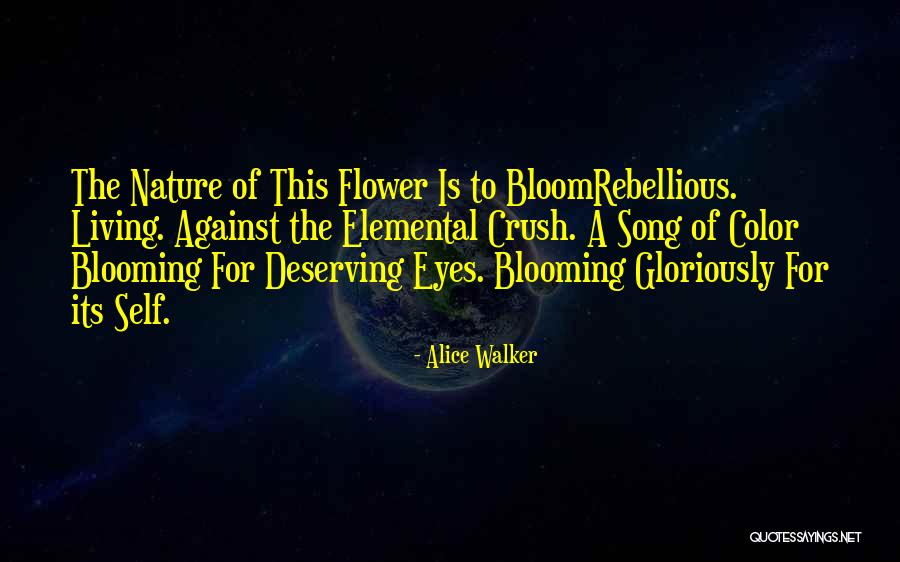 Flower Bloom Quotes By Alice Walker Flower Bloom Quotes By Alice Walker