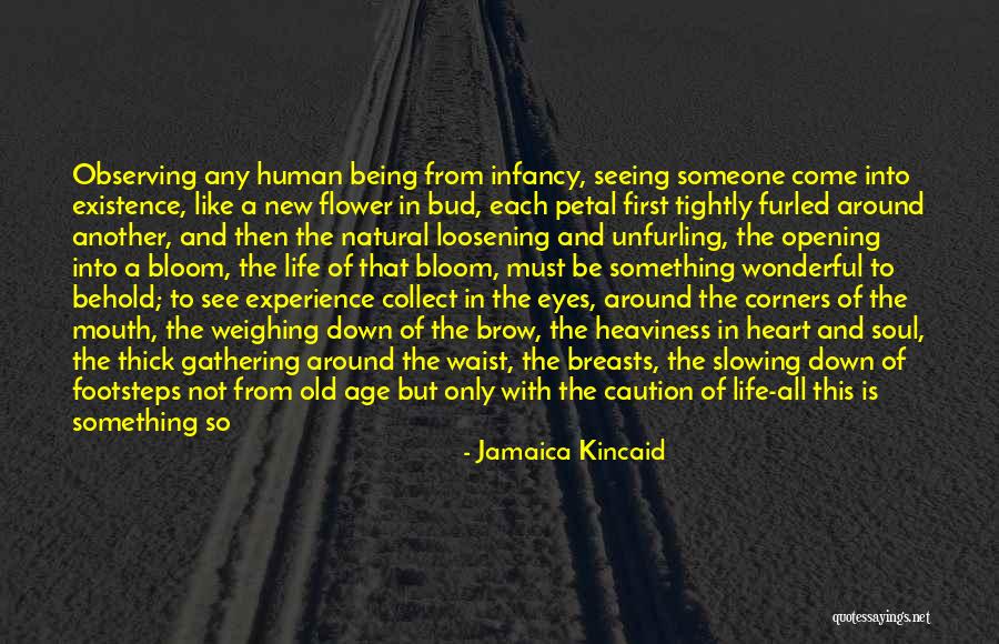Flower Bloom Quotes By Jamaica Kincaid Flower Bloom Quotes By Jamaica Kincaid