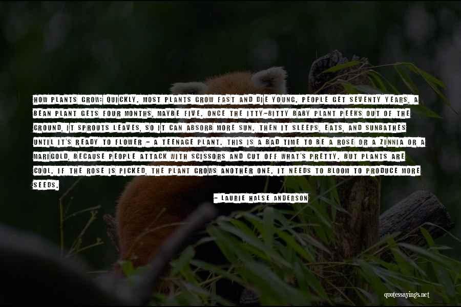 Flower Bloom Quotes By Laurie Halse Anderson Flower Bloom Quotes By Laurie Halse Anderson