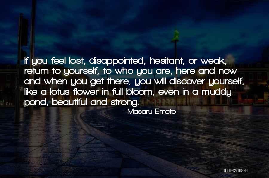 Flower Bloom Quotes By Masaru Emoto Flower Bloom Quotes By Masaru Emoto