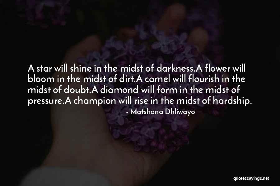 Flower Bloom Quotes By Matshona Dhliwayo Flower Bloom Quotes By Matshona Dhliwayo