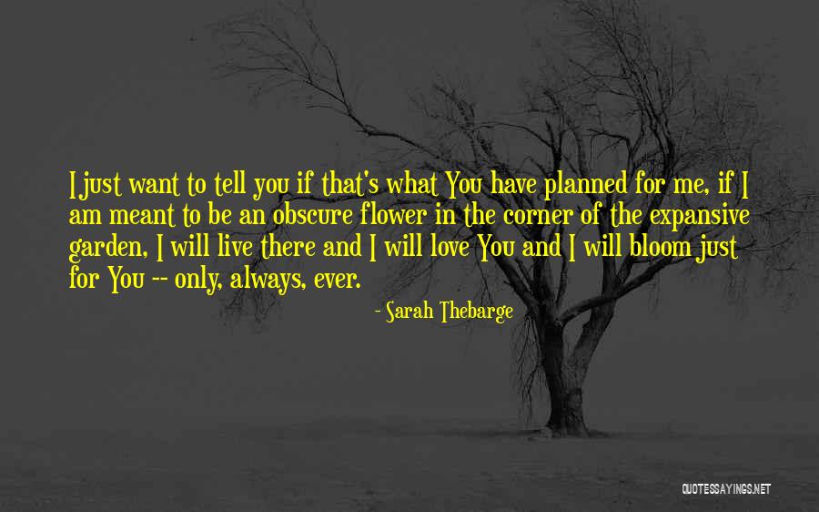 Flower Bloom Quotes By Sarah Thebarge Flower Bloom Quotes By Sarah Thebarge