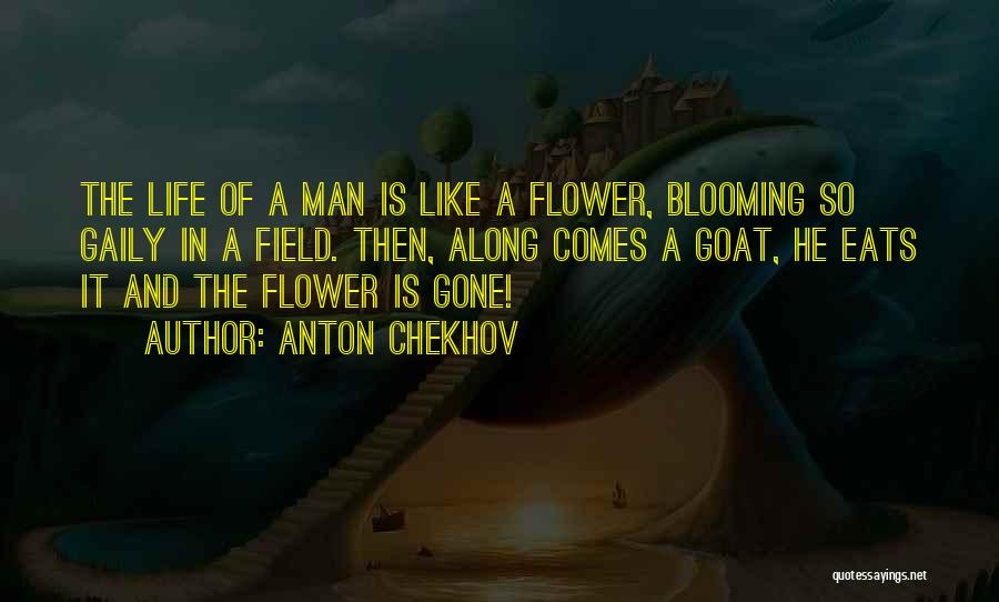 Flower Blooming Life Quotes By Anton Chekhov