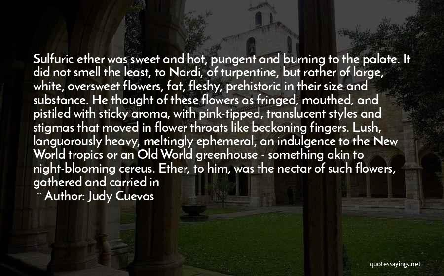 Flower Blooming Quotes By Judy Cuevas