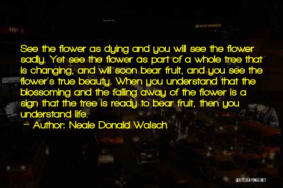 Flower Blossoming Quotes By Neale Donald Walsch