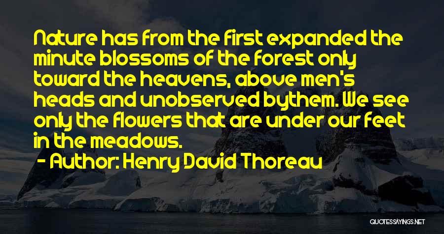 Flower Blossoms Quotes By Henry David Thoreau