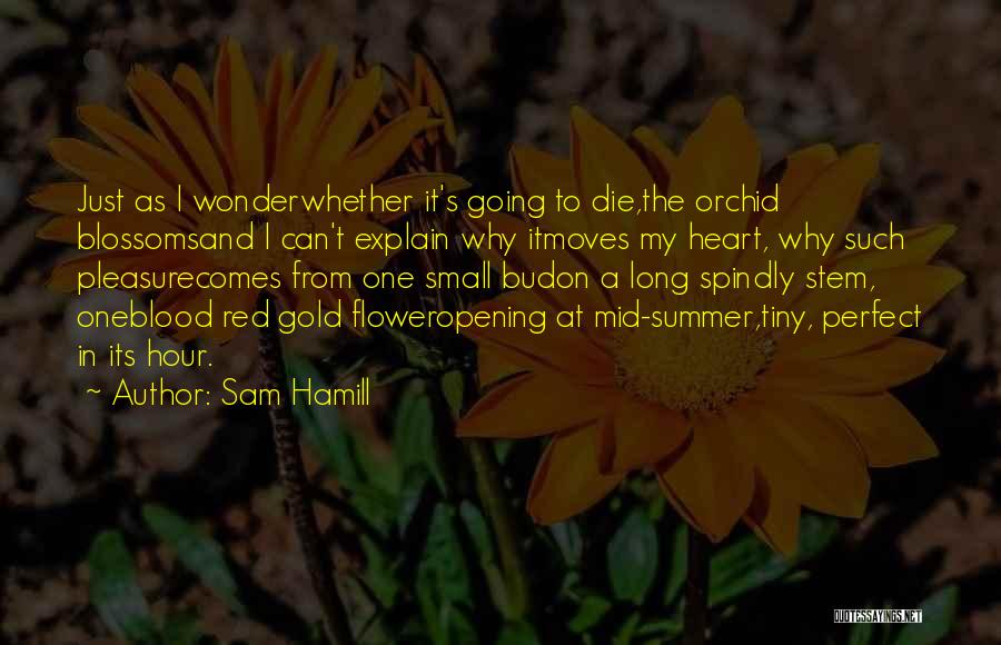 Flower Blossoms Quotes By Sam Hamill