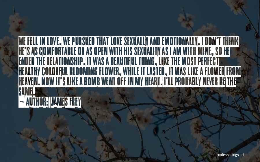 Flower Bomb Quotes By James Frey
