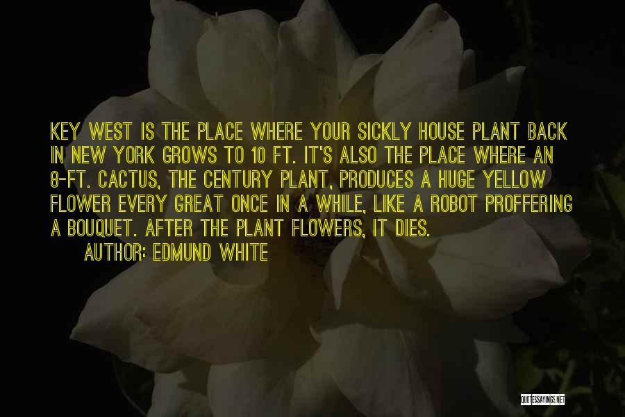 Flower Dies Quotes By Edmund White