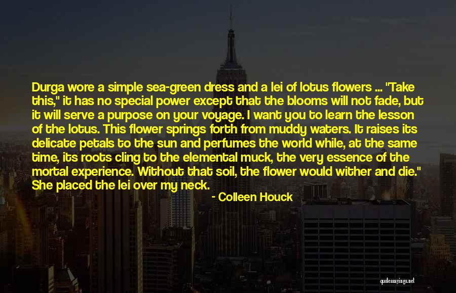 Flower Essence Quotes By Colleen Houck