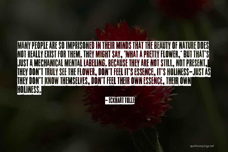 Flower Essence Quotes By Eckhart Tolle