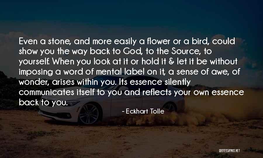 Flower Essence Quotes By Eckhart Tolle