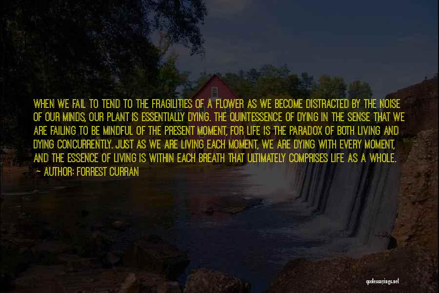 Flower Essence Quotes By Forrest Curran
