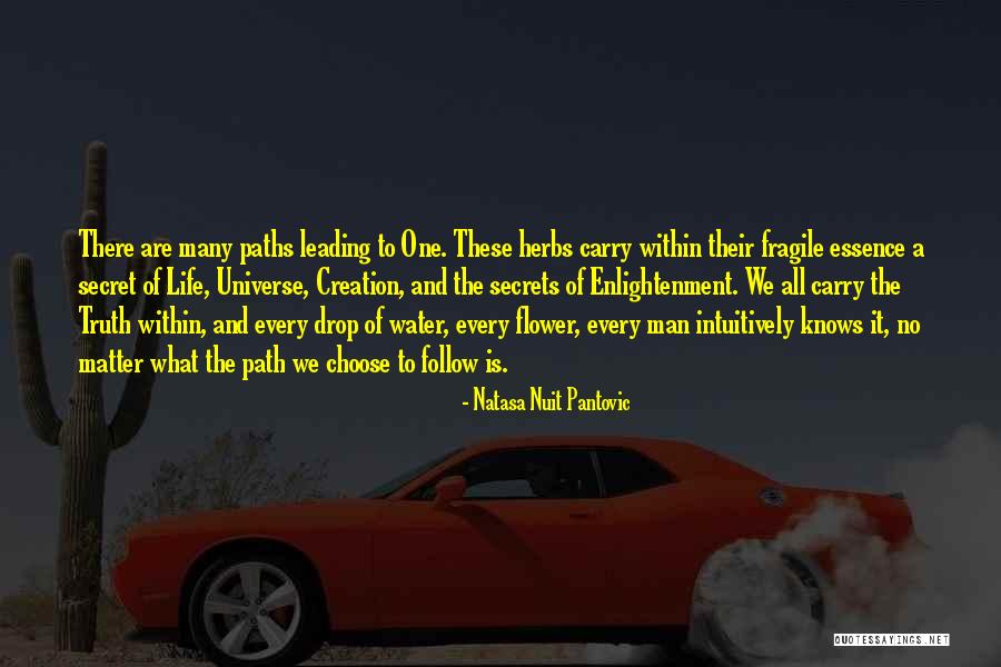 Flower Essence Quotes By Natasa Nuit Pantovic Flower Essence Quotes By Natasa Nuit Pantovic