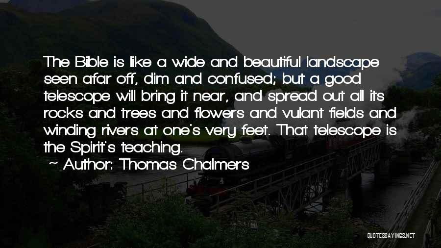 Flower Fields Quotes By Thomas Chalmers