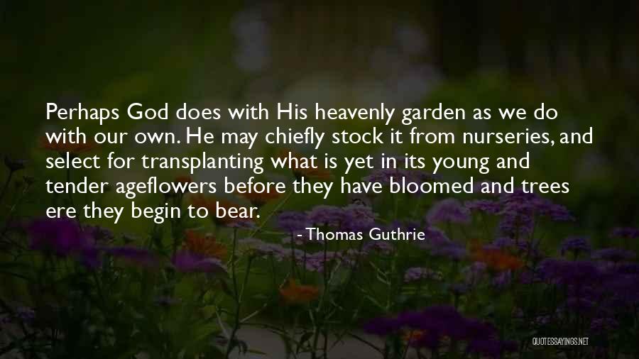 Flower Garden Quotes By Thomas Guthrie Flower Garden Quotes By Thomas Guthrie