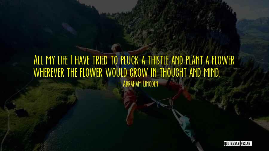 Flower Grow Quotes By Abraham Lincoln Flower Grow Quotes By Abraham Lincoln