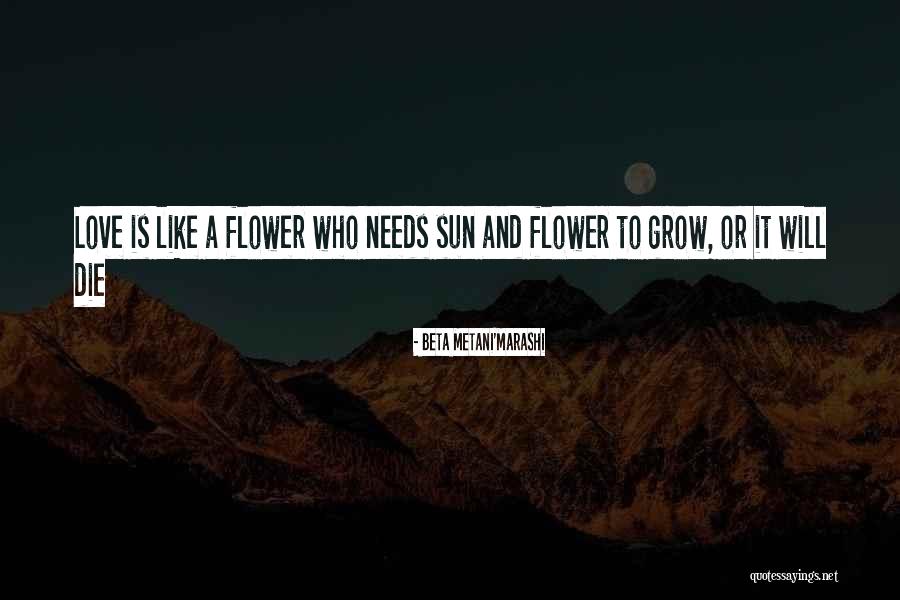 Flower Grow Quotes By Beta Metani'Marashi Flower Grow Quotes By Beta Metani'Marashi