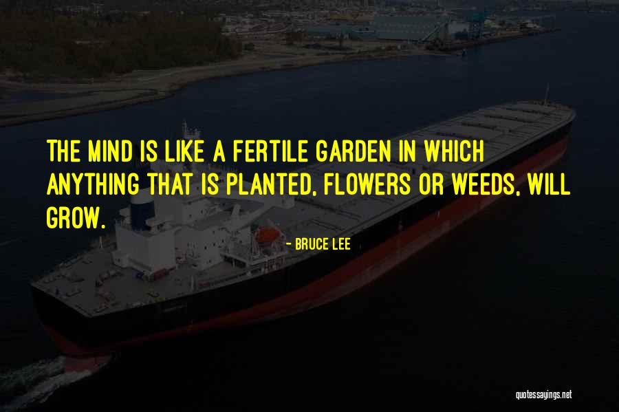 Flower Grow Quotes By Bruce Lee Flower Grow Quotes By Bruce Lee