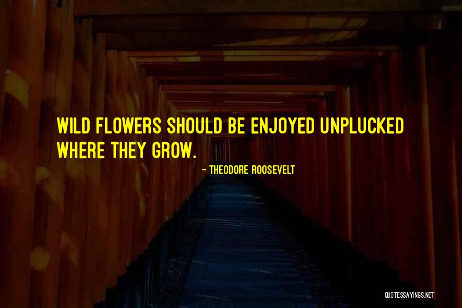 Flower Grow Quotes By Theodore Roosevelt Flower Grow Quotes By Theodore Roosevelt