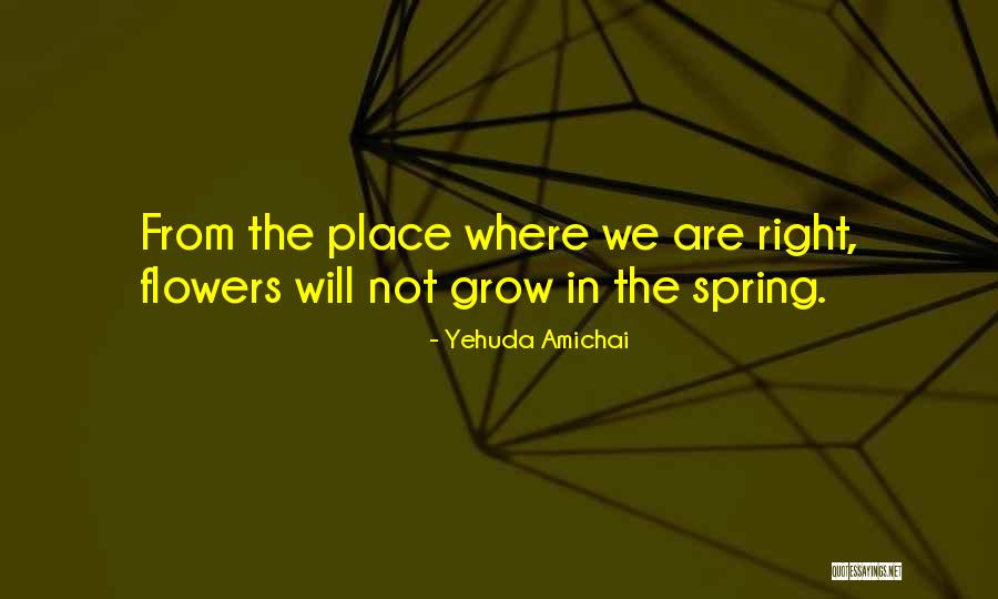 Flower Grow Quotes By Yehuda Amichai Flower Grow Quotes By Yehuda Amichai