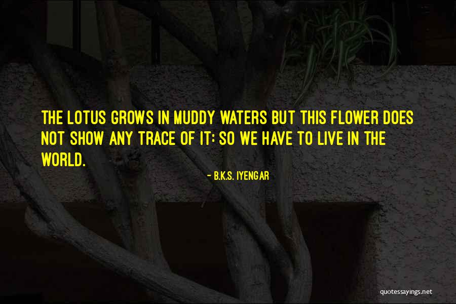 Flower Grows Quotes By B.K.S. Iyengar Flower Grows Quotes By B.K.S. Iyengar