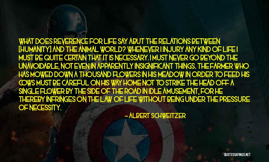 Flower Home Quotes By Albert Schweitzer Flower Home Quotes By Albert Schweitzer