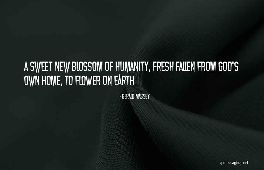 Flower Home Quotes By Gerald Massey Flower Home Quotes By Gerald Massey