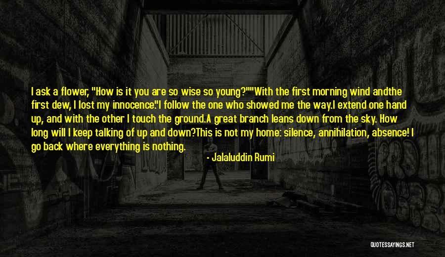 Flower Home Quotes By Jalaluddin Rumi Flower Home Quotes By Jalaluddin Rumi