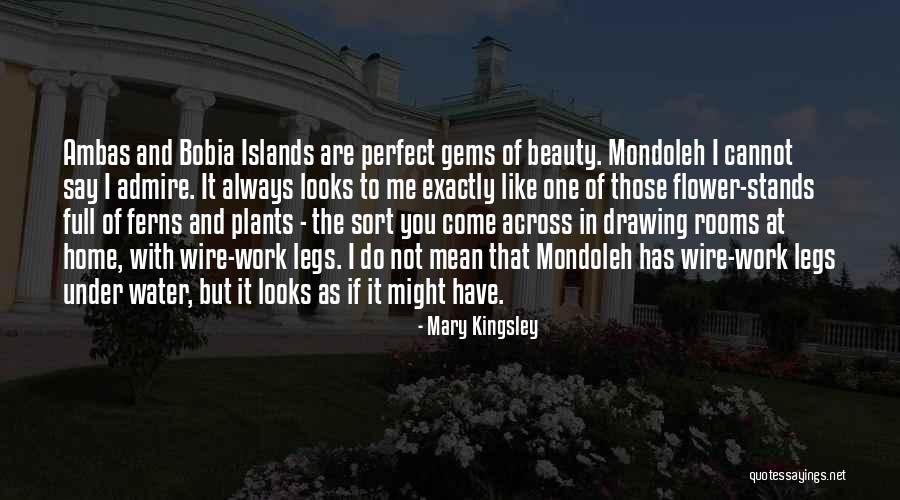 Flower Home Quotes By Mary Kingsley Flower Home Quotes By Mary Kingsley
