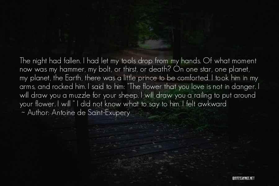 Flower In Hand Quotes By Antoine De Saint-Exupery