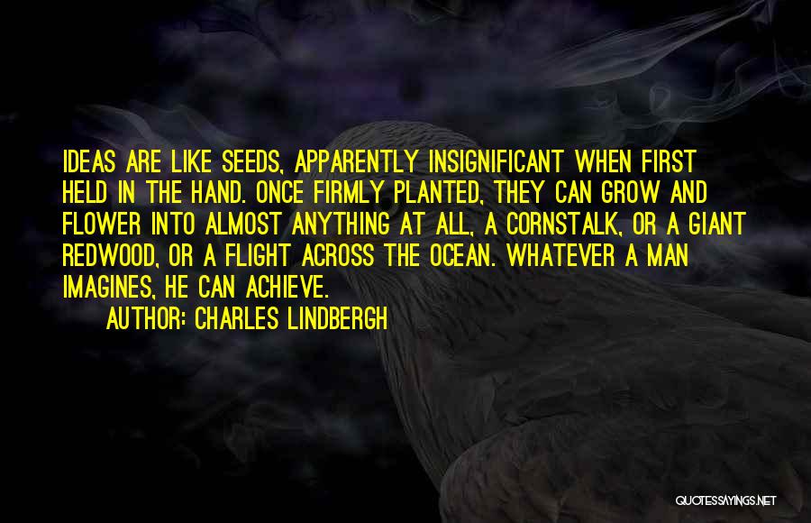 Flower In Hand Quotes By Charles Lindbergh