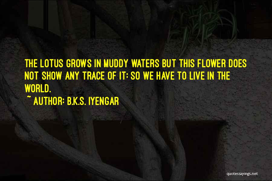 Flower In Water Quotes By B.K.S. Iyengar
