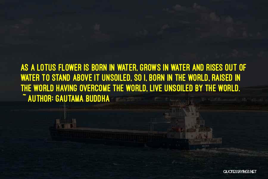 Flower In Water Quotes By Gautama Buddha