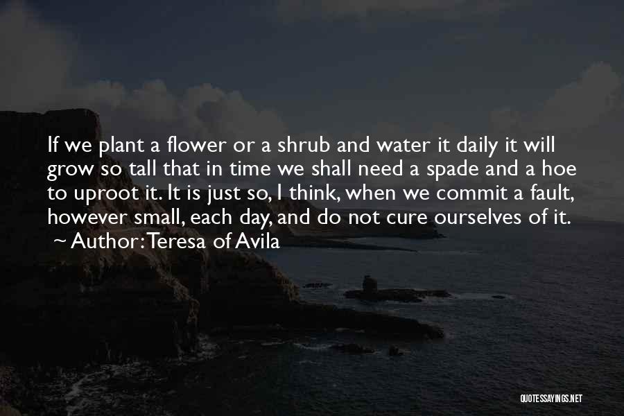 Flower In Water Quotes By Teresa Of Avila