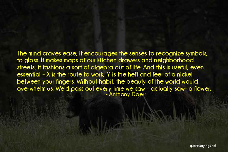 Flower Life Quotes By Anthony Doerr