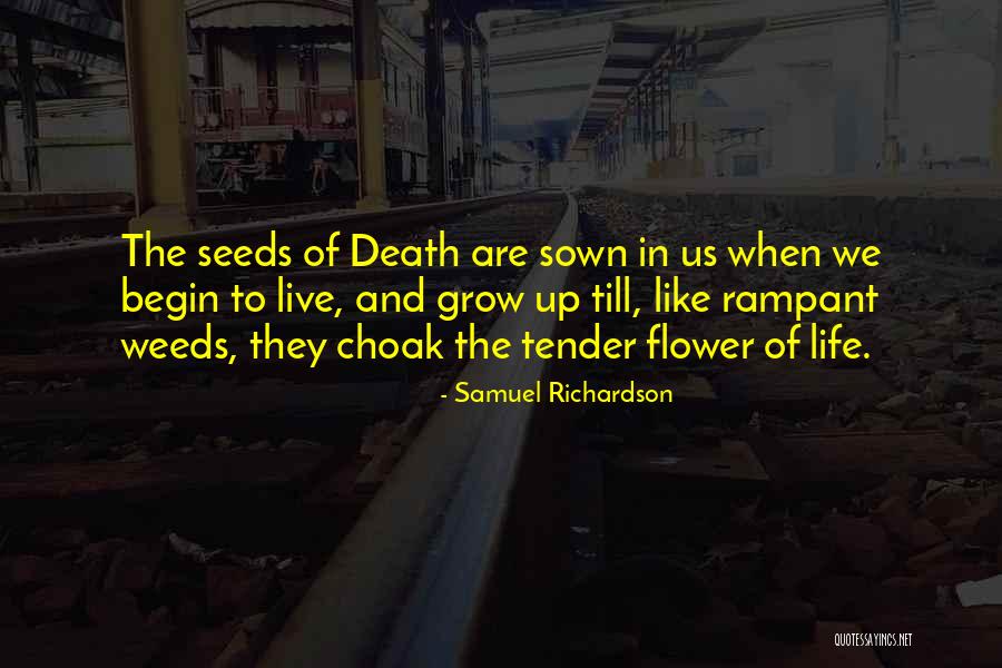 Flower Life Quotes By Samuel Richardson